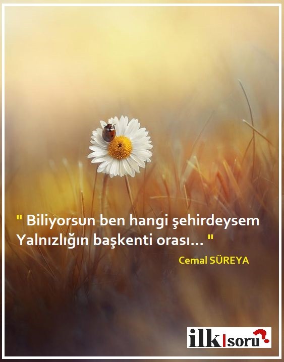  Cemal Süreya instagram sözleri | Güzel Sözler cemal-sureya-ask-sozleri-1