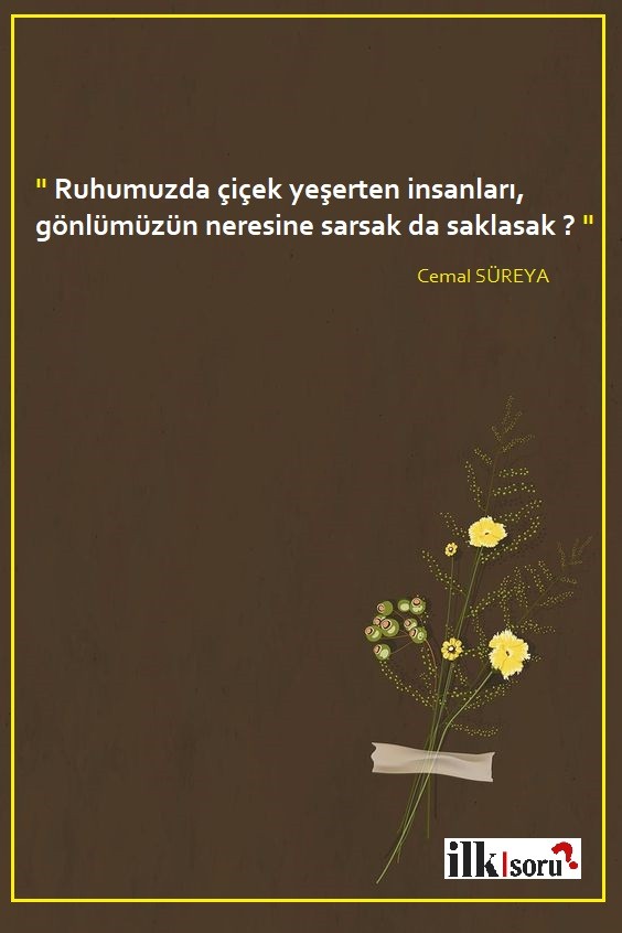  Cemal Süreya instagram sözleri | Güzel Sözler cemal-sureya-sozleri-1