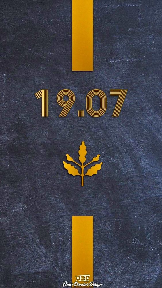  FENER BAHÇE DUVAR KAĞITLARI ( arka plan resmi ) fener-bahce-iphone-duvar-kagidi-1907-1987