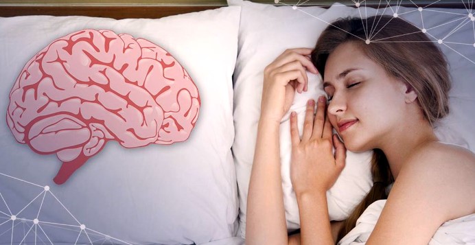  5 ilginç bilgi - Ağzınızı açık bırakacak ilginç bilgiler. uyku-aninda-vucudumuzda-neler-olur